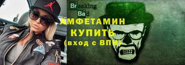 шишки Осинники