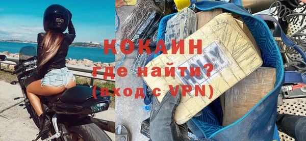 шишки Осинники