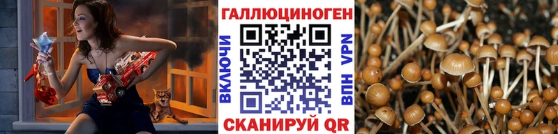 Псилоцибиновые грибы GOLDEN TEACHER  kraken вход  Новоаннинский 